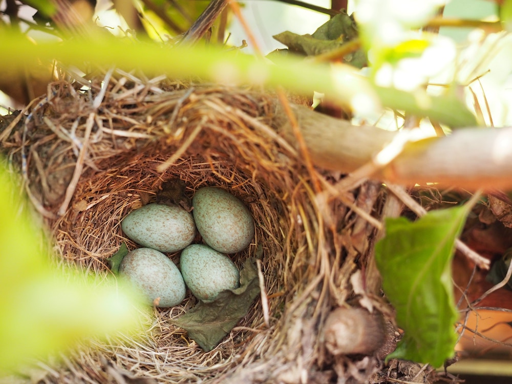 Non Retirement Savings Nest Egg